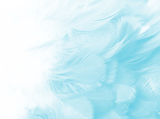 Beautiful green turquoise vintage color trends feather pattern texture background