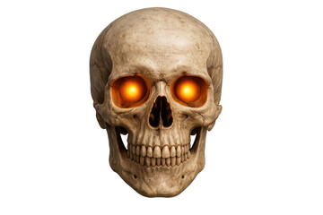 Obraz premium Spooky human skull with glowing orange eyes isolated on transparent background, perfect for halloween projects