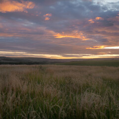 natural darky cloudy sky with golden color at sky background