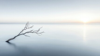 Single Branch Floating on Calm Water Reflecting Sunrise Light