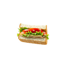 Healthy Veggie Sandwich with Whole Wheat Bread and Fresh Tomatoes