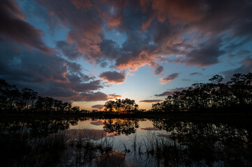 Colorful sunset cloudscape reflected in calm water of Long Pine Key in Everglades National Park, Florida.