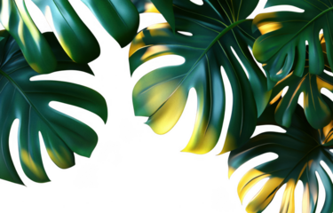 Lush monstera leaves with vibrant green hues and striking yellow highlights create tropical ambiance, perfect for adding touch of nature to any space
