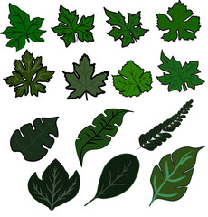 set of leaves