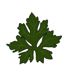 green oak leaves