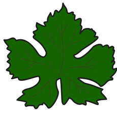 Naklejka premium green oak leaf
