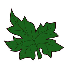green maple leaf