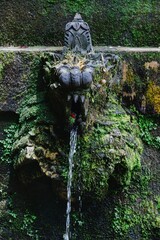 A moss-covered stone dragon fountain in Pura Luhur Batukaru, Tabanan, Bali, Indonesia, spouts fresh...