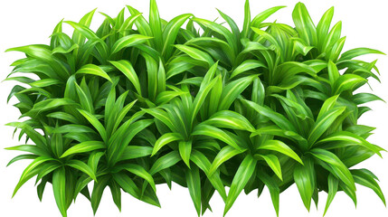 Fototapeta premium Vibrant Green Leaves On Transparent Background