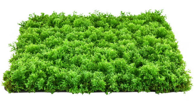 Green Artificial Grass Mat On Transparent Background - Powered by Adobe