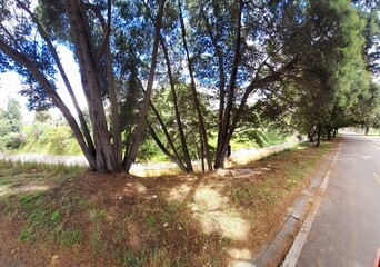 Fototapeta premium path in the park