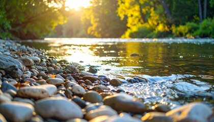 A calm riverside with smooth pebbles and gentle water flow, surrounded by lush trees and soft golden morning light"