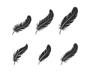 Feather isolated on white background. Set of feather.