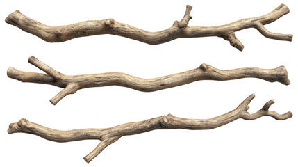 Three Natural Dry Tree Branches On Transparent Background