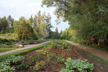 Garden In The Evening