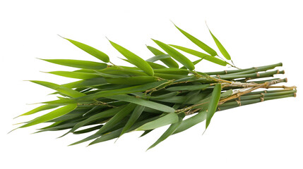 Green Bamboo Stalks With Leaves On Transparent Background