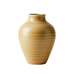 Elegant ceramic vase with smooth texture and warm tones, set against a neutral background