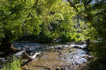 Summer Hiking Views of Maple Creek Spring Franklin County Idaho - Southeastern Idaho Travel and Outdoors