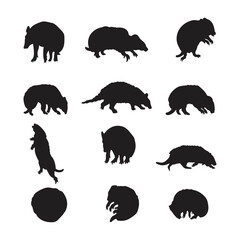 Silhouette illustration of an armadillo turning into a ball, Armadillo animal vector