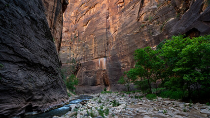 The Narrows, Zion National Park, Utah