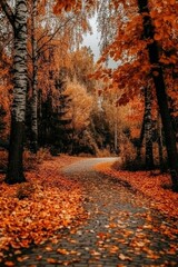 Naklejka premium Autumn Forest Path Covered in Fallen Leaves with Tall Trees