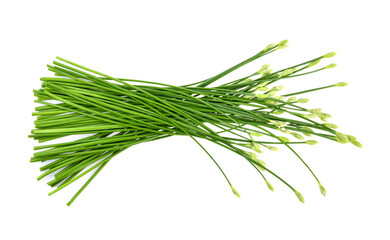 Chinese chives on white background