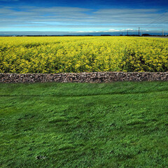 Studio background images wallpaper 7