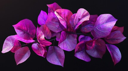 Vibrant Purple Bougainvillea Leaves Against a Dark Background