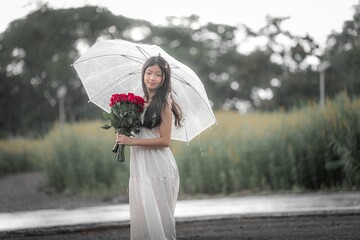 Young woman with red roses under clear umbrella in rainy landscape