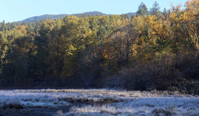 Frosty morning of shallow ocean bay at low tide