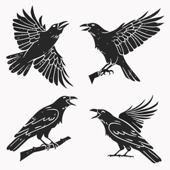 Four black crows in flight and perched on branches raven bird