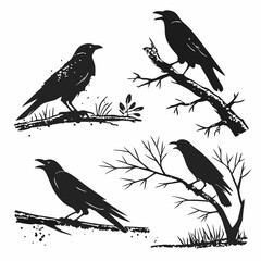 Four crow silhouettes perched on branches with grass raven bird