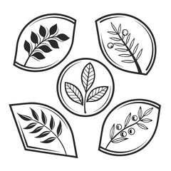 Organic Leaf Emblem Designs nature