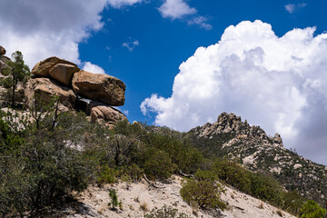The rugged Catalina Mountains is a summer oasis for residents of the Sonoran Desert to escape the...