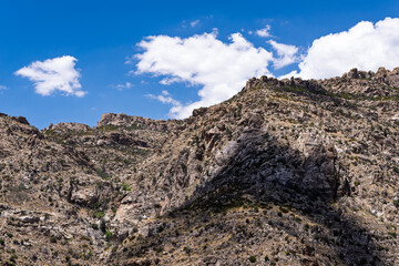 The rugged Catalina Mountains is a summer oasis for residents of the Sonoran Desert to escape the...