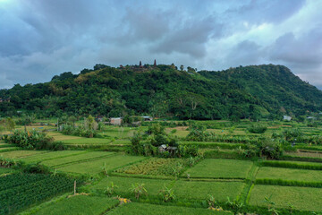 Scenic View of Rice Fields and Forested Mountain Slopes in Bali