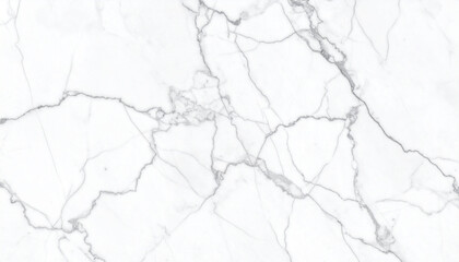 Obraz premium Marble with black texture background 1