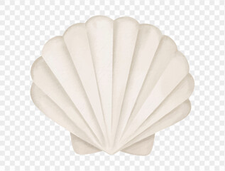Seashell watercolor illustration isolated on white background vector.