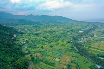 Obraz premium Scenic View of Rice Fields and Forested Mountain Slopes in Bali