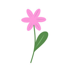 Simple flower illustration. Hand-drawn flower illustration. Flower illustration. Flat design colored flower illustration