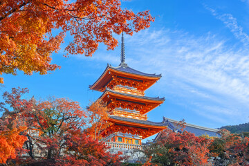 Kiyomizu-dera temple with beautiful foliage in autumn in Kyoto, Japan