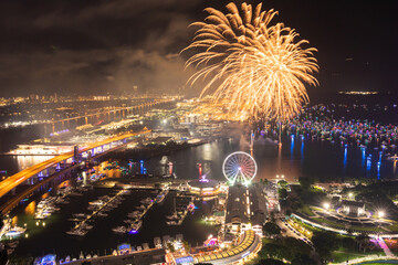Miami Night Celebration with Fireworks Over Bayfront Park and Marina