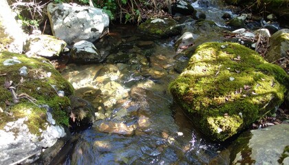 透明な山溪が苔の覆う岩の間を静かに流れ、涼しげな影と優しい光が調和した穏やかな森の情景

