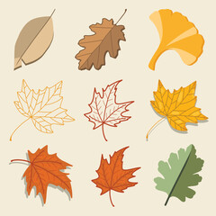 Autumn leaves of colorful leaf illustration fall season isolated vector