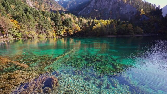 Autumn landscape in beautiful colorful nature scenic view at five flower lake in jiuzhaigou national park