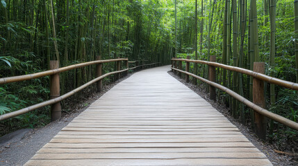 Fototapeta premium Serene footpath winds through dense bamboo forest, inviting exploration and tranquility