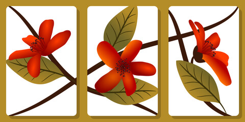Frames with with bright red flowers of bombax ceiba for wall framed prints, canvas prints, poster, home decor