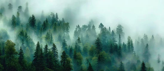 Handdoek met foto Meisjeskamer Misty mountain forest, evergreen trees shrouded in fog (3)  © Marble