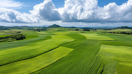 Fototapeta premium Lush green fields stretch across landscape under bright blue sky with fluffy clouds