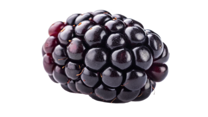 Close up of fresh blackberry fruit isolated on black background healthy eating and antioxidant benefits